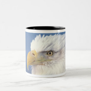 Tasse 2 Couleurs aigle chauve, Haliaeetus leuccocephalus,