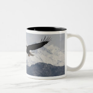 Tasse 2 Couleurs Aigle de tête en vol, Haliaeetus leucocephalus,