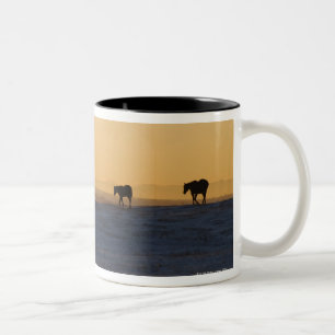 Tasse 2 Couleurs Alberta, Canada 3
