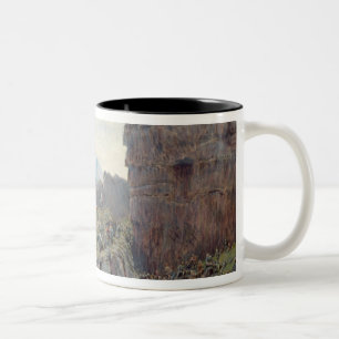 Tasse 2 Couleurs Althing en session