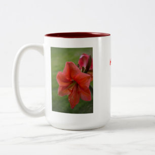 Tasse 2 Couleurs Amaryllis