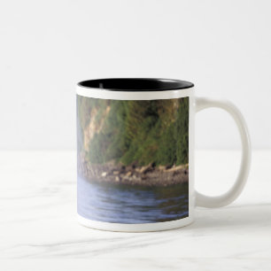 Tasse 2 Couleurs Amérique du Nord, États-Unis, Alaska, Passage Inté