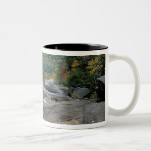 Tasse 2 Couleurs Amérique du Nord, États-Unis, NH, Feuillage d'auto