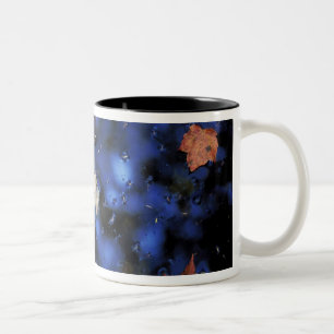 Tasse 2 Couleurs Amérique du Nord, États-Unis, NH, Feuilles dans un