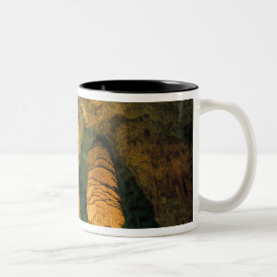 Tasse 2 Couleurs Amérique du Nord, États-Unis, Nouveau-Mexique, C