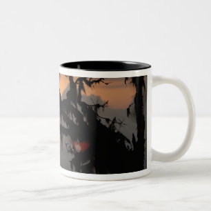 Tasse 2 Couleurs Amérique du Sud, Équateur, scène de forêt nuageuse