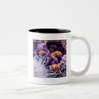 Tasse 2 Couleurs Amphiprion Ocellaris d'Ocellaris Clownfish |