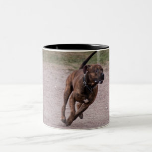 Tasse 2 Couleurs Amstaff en cours