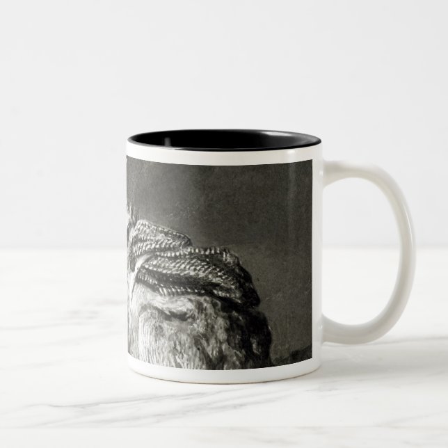 Tasse 2 Couleurs Âne au repos (Droit)