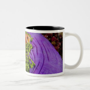 Tasse 2 Couleurs Anemonefish et grande anémone
