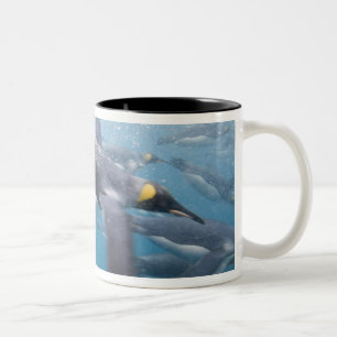 Tasse 2 Couleurs Antarctique, île de Géorgie du Sud Royaume-Uni