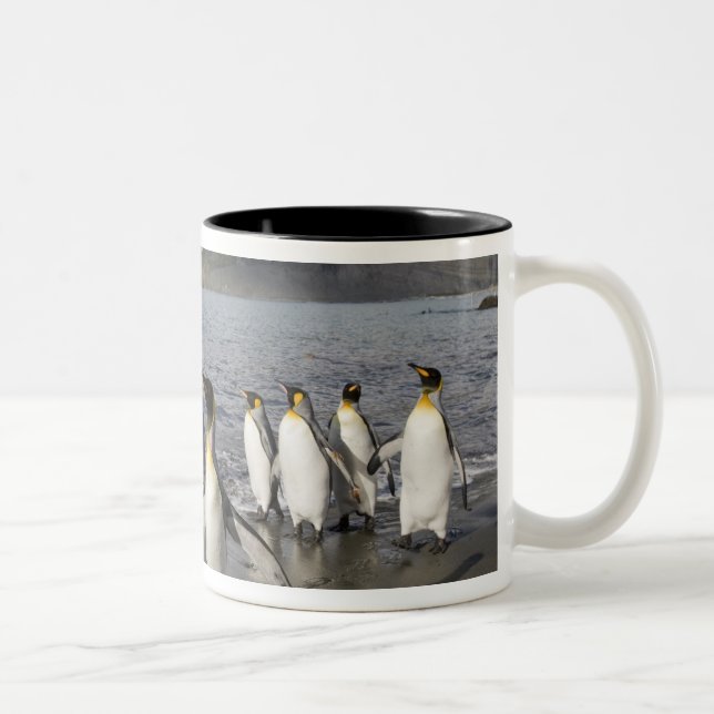 Tasse 2 Couleurs Antarctique, île de Géorgie du Sud (UK), Antarctiq (Droit)