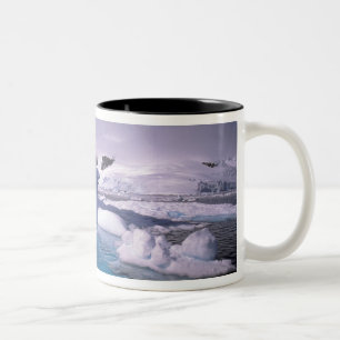 Tasse 2 Couleurs Antarctique. Paysages glaciaires antarctiques 2