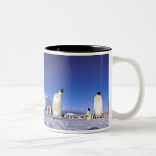 Tasse 2 Couleurs Antarctique, péninsule Antarctique, mer de Weddell