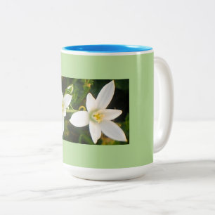 Tasse 2 Couleurs Aqua Green Spring Time