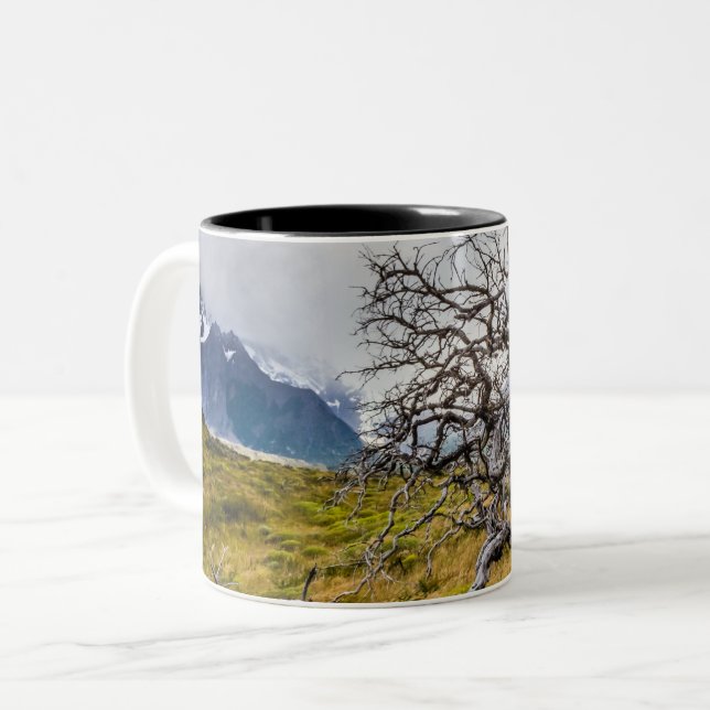 Tasse 2 Couleurs Arbre brûlé, Torres del Paine, Chili (Devant gauche)