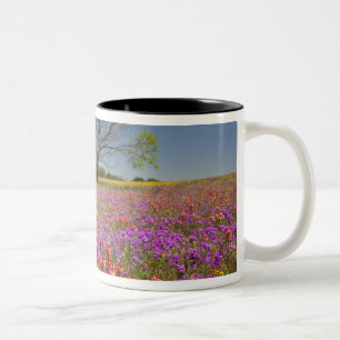 Tasse 2 Couleurs Arbres de prosopis du printemps poussant dans des