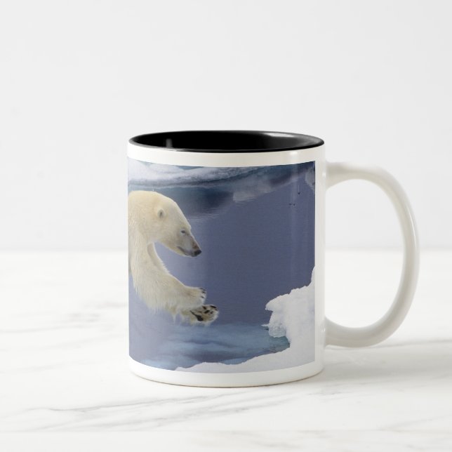 Tasse 2 Couleurs Arctique, Svalbard, Ours polaire s'étendant (Droit)