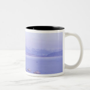 Tasse 2 Couleurs Asie, Japon, Hokkaido, Akan NP, Whopper Swans