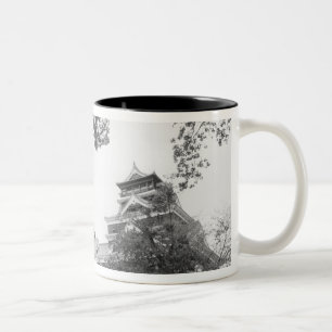 Tasse 2 Couleurs Asie, Japon, Kumamoto. Kumamoto, château de Kumamo