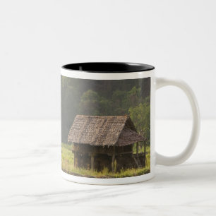 Tasse 2 Couleurs Asie, Thaïlande, Mae Hong Son, cabanes de riz dans