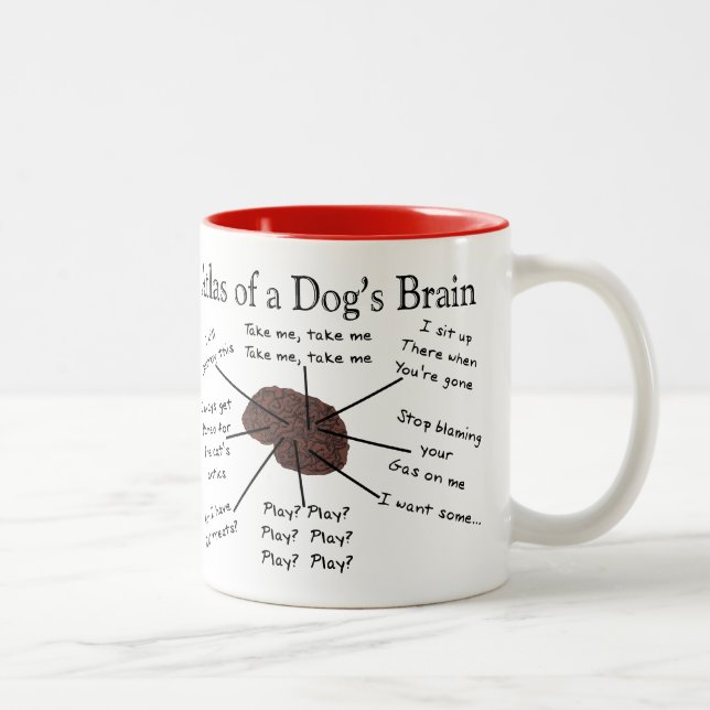 Tasse 2 Couleurs Atlas du cerveau d'un chien (Droit)