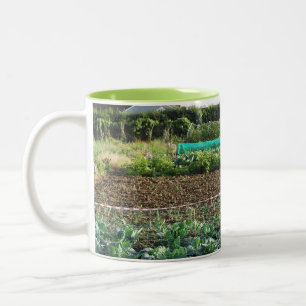 Tasse 2 Couleurs Attribution