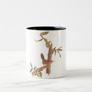 Tasse 2 Couleurs Audubon Bewick's Wren Solitaire Song Bird sur Bran