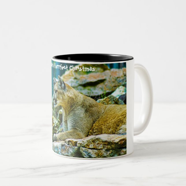 Tasse 2 Couleurs Avoir un Noël parfait (Devant droit)