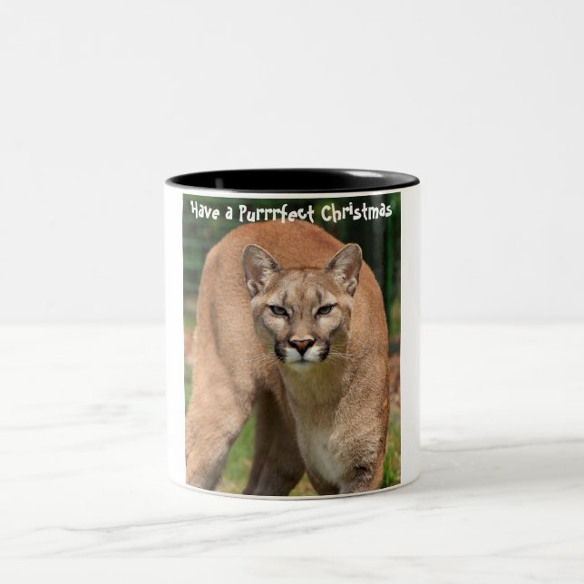 Tasse 2 Couleurs Avoir un Noël parfait (Centre)