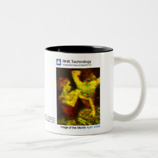 Tasse 2 Couleurs Avril 2006 - technologie de RHK : Image du mois