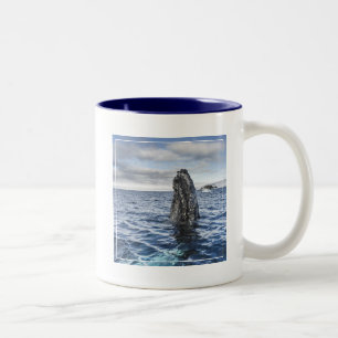 Tasse 2 Couleurs Baie d'espoir de Spyhops   de baleine de bosse,