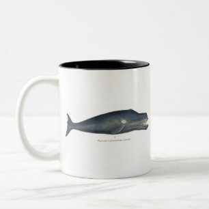 Tasse 2 Couleurs Baleine boréale