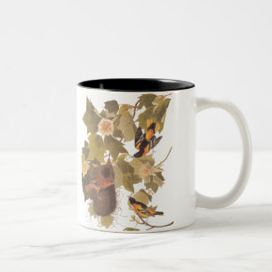 Tasse 2 Couleurs Baltimore Oiseaux orientaux nichant dans un peupli