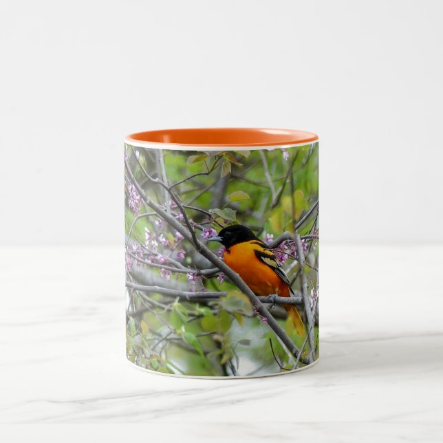 Tasse 2 Couleurs Baltimore Oriole (Centre)