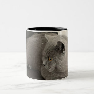 Tasse 2 Couleurs banquette de café de chat berceau écossais