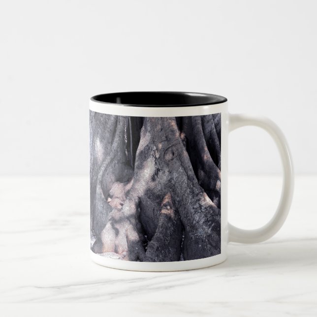 Tasse 2 Couleurs Banyan Tree (Droit)