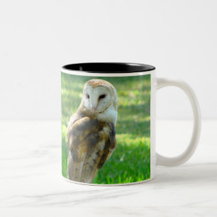 Tasse 2 Couleurs Barn Owl Nature