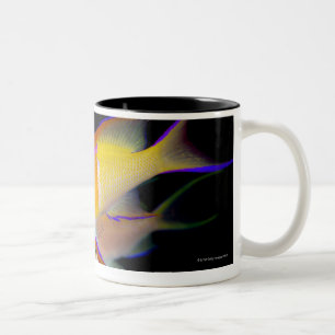 Tasse 2 Couleurs Barre blanche Anthias