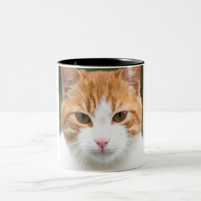 Tasse 2 Couleurs Beau chat rouge (Centre)