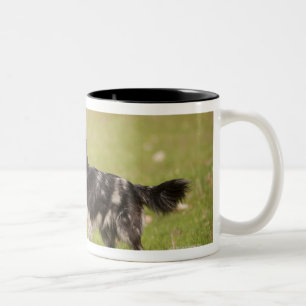 Tasse 2 Couleurs Berger pyrénéen dans la pose vigilante attendant