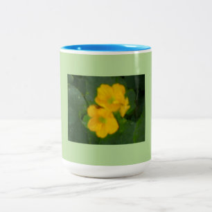 Tasse 2 Couleurs Blooms de Cantaloue