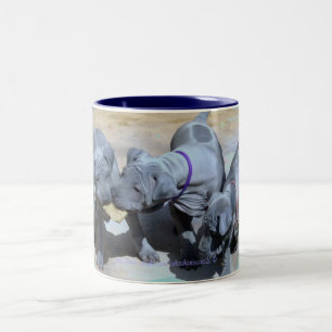Tasse 2 Couleurs "BlueThai Ridgeback-Phu Quoc dog"