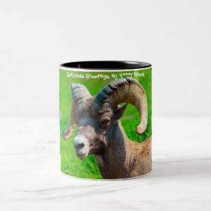 Tasse 2 Couleurs Bonjour à Noël Mon ami