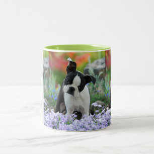 Tasse 2 Couleurs Boston Terrier Chien Cute Chiot Portrait de Chiot 