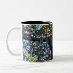 Tasse 2 Couleurs Boue d'Oiseau