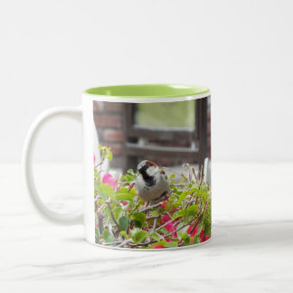 Tasse 2 Couleurs Boug d'oiseaux doux