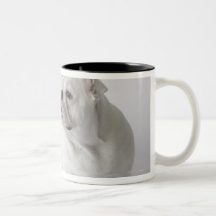 Tasse 2 Couleurs Bouledogue anglais blanc
