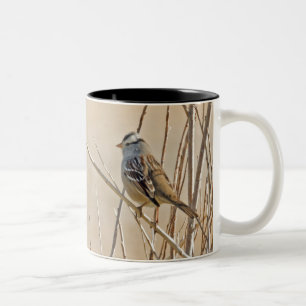 Tasse 2 Couleurs Bruant à couronne blanche
