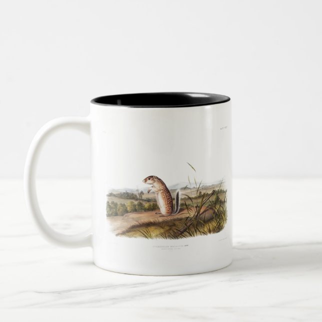 Tasse 2 Couleurs Cadeaux Camping Déco Marmot Squirrel Mexicain (Gauche)